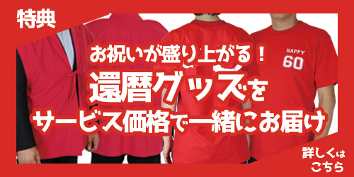 特別価格で購入できる